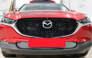 2 999 р. Защитная сетка в бампер (низ, ячейка 3х7 мм) Alfeco Стандарт  Mazda CX-30 (2019-2024) (Хром)  с доставкой в г. Калуга. Увеличить фотографию 1