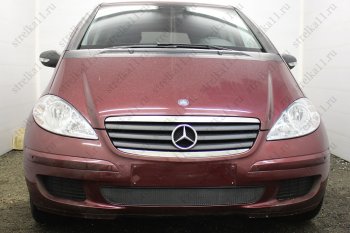 Защитная сетка в бампер (низ, ячейка 3х7 мм) Alfeco Стандарт Mercedes-Benz (Мерседес-Бенс) A class (А)  W169 (2005-2008) W169 дорестайлинг, хэтчбэк 5 дв.  (Чёрная)