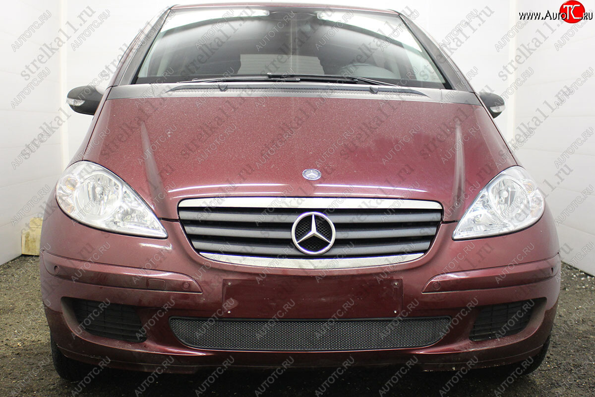 3 099 р. Защитная сетка в бампер (низ, ячейка 3х7 мм) Alfeco Стандарт  Mercedes-Benz A class  W169 (2005-2008) (Чёрная)  с доставкой в г. Калуга