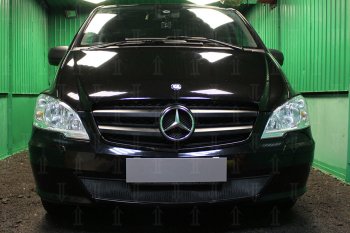 Защитная сетка в бампер (низ, ячейка 3х7 мм) Alfeco Стандарт Mercedes-Benz (Мерседес-Бенс) Vito (вито)  W639 (2010-2014) W639 рестайлинг  (Чёрная)
