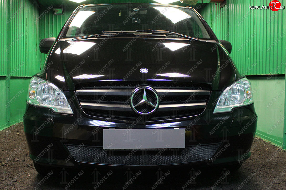 2 969 р. Защитная сетка в бампер (низ, ячейка 3х7 мм) Alfeco Стандарт  Mercedes-Benz Vito  W639 (2010-2014) (Чёрная)  с доставкой в г. Калуга