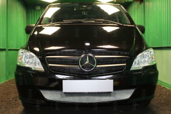 Защитная сетка в бампер (низ, ячейка 3х7 мм) Alfeco Стандарт Mercedes-Benz (Мерседес-Бенс) Vito (вито)  W639 (2010-2014) W639 рестайлинг  (Хром)