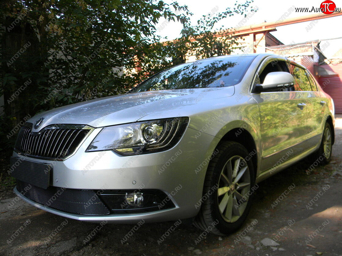 4 599 р. Защитная сетка в бампер (низ, ячейка 4х10 мм) Стрелка11 Премиум Skoda Superb (B6) 3T лифтбэк рестайлинг (2013-2015) (Чёрная)  с доставкой в г. Калуга