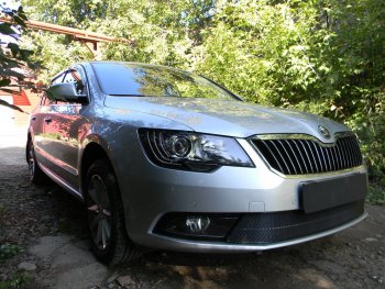 4 599 р. Защитная сетка в бампер (низ, ячейка 4х10 мм) Стрелка11 Премиум Skoda Superb (B6) 3T лифтбэк рестайлинг (2013-2015) (Чёрная)  с доставкой в г. Калуга. Увеличить фотографию 3