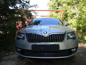 4 599 р. Защитная сетка в бампер (низ, ячейка 4х10 мм) Стрелка11 Премиум Skoda Superb (B6) 3T лифтбэк рестайлинг (2013-2015) (Чёрная)  с доставкой в г. Калуга. Увеличить фотографию 2