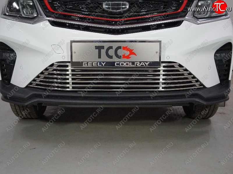 12 749 р. Декоративная вставка решетки радиатора (12 мм) ТСС Тюнинг  Geely Coolray  SX11 (2018-2025) дорестайлинг, рестайлинг (d 12 мм)  с доставкой в г. Калуга