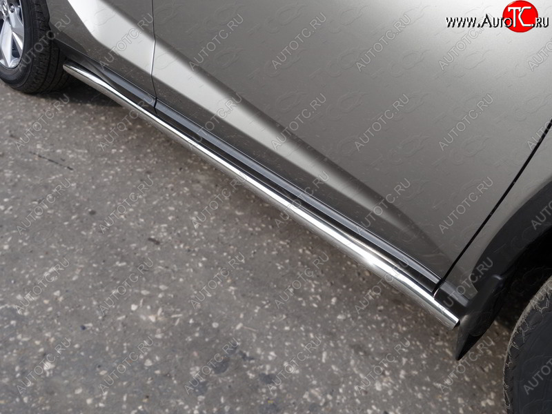 21 999 р. Защита порогов труба d60,3 мм ТСС Тюнинг Lexus NX 200 Z10 рестайлинг (2017-2021) (серые)  с доставкой в г. Калуга