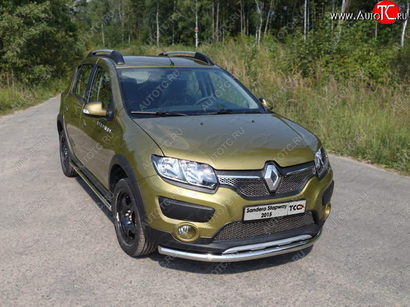 14 999 р. Защита переднего бампера нижняя d60,3 мм ТСС Тюнинг  Renault Sandero Stepway  (B8) (2014-2018) (нержавейка)  с доставкой в г. Калуга