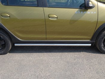 Защита порогов труба d60,3 мм ТСС Тюнинг Renault Sandero Stepway (B8) дорестайлинг (2014-2018)  (серые)