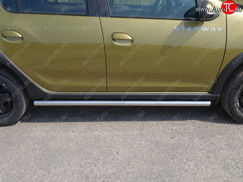 19 999 р. Защита порогов труба d60,3 мм ТСС Тюнинг Renault Sandero Stepway (B8) дорестайлинг (2014-2018) (серые)  с доставкой в г. Калуга