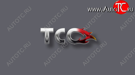 19 999 р. Пороги алюминиевые с пластиковой накладкой ТСС Тюнинг  Volkswagen Tiguan  Mk2 (2016-2020) (серые)  с доставкой в г. Калуга