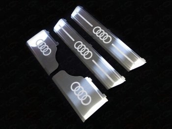 10 199 р. Накладки на пороги ТСС Тюнинг  Audi Q7  4M (2015-2020) (лист шлифованный, логотип audi)  с доставкой в г. Калуга. Увеличить фотографию 1