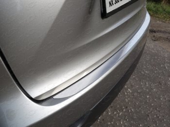 Накладка на задний бампер, ТСС Тюнинг Lexus NX 300h Z10 дорестайлинг (2014-2017)  (Лист шлифованный)