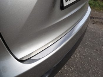 Накладка на задний бампер, ТСС Тюнинг Lexus NX 200 Z10 дорестайлинг (2014-2017)  (Лист шлифованный)