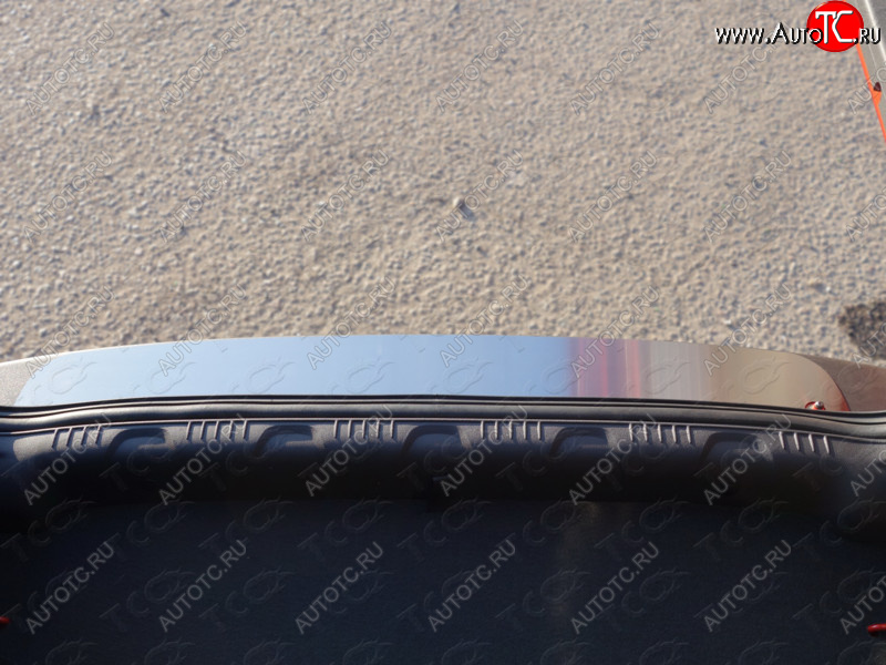 2 799 р. Накладка на задний бампер лист шлифованный, ТСС Тюнинг  Ford EcoSport (2013-2019)  с доставкой в г. Калуга