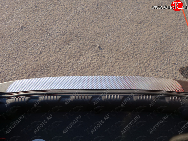 2 799 р. Накладка на задний бампер ТСС Тюнинг  Ford EcoSport (2013-2019) (Лист декоративный)  с доставкой в г. Калуга