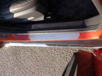 Накладки на пороги ТСС Тюнинг Ford EcoSport дорестайлинг (2013-2019)