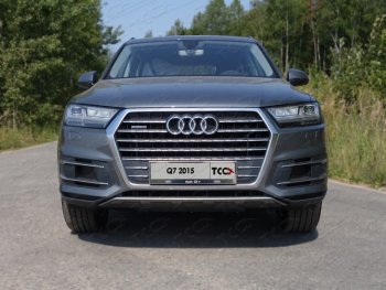 Рамка гос. номера ТСС Тюнинг Audi (Ауди) Q7 (Ку7)  4M (2015-2020) 4M дорестайлинг  (нержавейка)