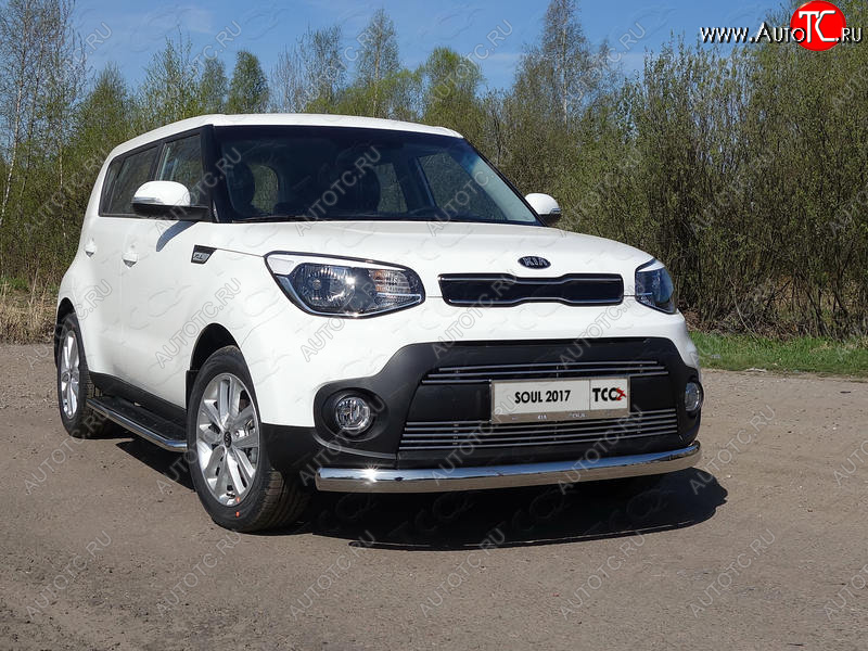 6 199 р. Рамка гос. номера ТСС Тюнинг  KIA Soul  2 PS (2017-2019) (нержавейка)  с доставкой в г. Калуга