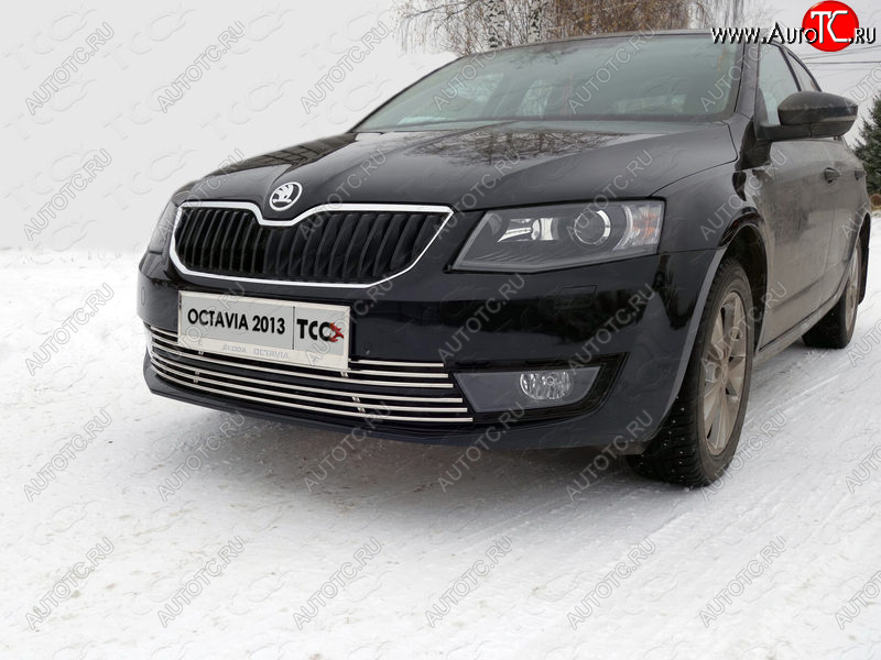 6 199 р. Рамка гос. номера ТСС Тюнинг  Skoda Octavia  A7 (2012-2017) (нержавейка)  с доставкой в г. Калуга