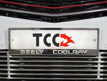 4 999 р. Рамка гос. номера ТСС Тюнинг Geely Coolray SX11 дорестайлинг (2018-2023) (нержавейка)  с доставкой в г. Калуга. Увеличить фотографию 1