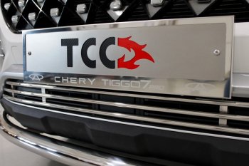 Рамка гос. номера ТСС Тюнинг Chery (Черри) Tiggo 7 PRO (Тиго) (2019-2024)  (нержавейка)