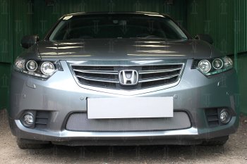 Защитная сетка в бампер (низ, ячейка 3х7 мм) Alfeco Стандарт Honda (Хонда) Accord (Аккорд)  CR (2013-2016) CR седан дорестайлинг