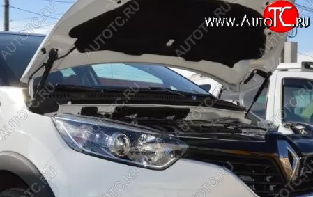 2 199 р. Газовые упоры капота Berkut  Renault Kaptur (2016-2024) дорестайлинг, рестайлинг  с доставкой в г. Калуга