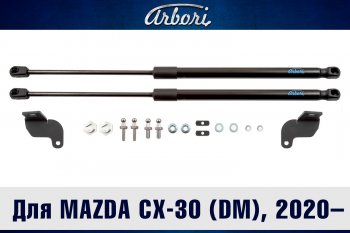 2 599 р. Упоры капота Arbori  Mazda CX-30  DM (2019-2024)  с доставкой в г. Калуга. Увеличить фотографию 1
