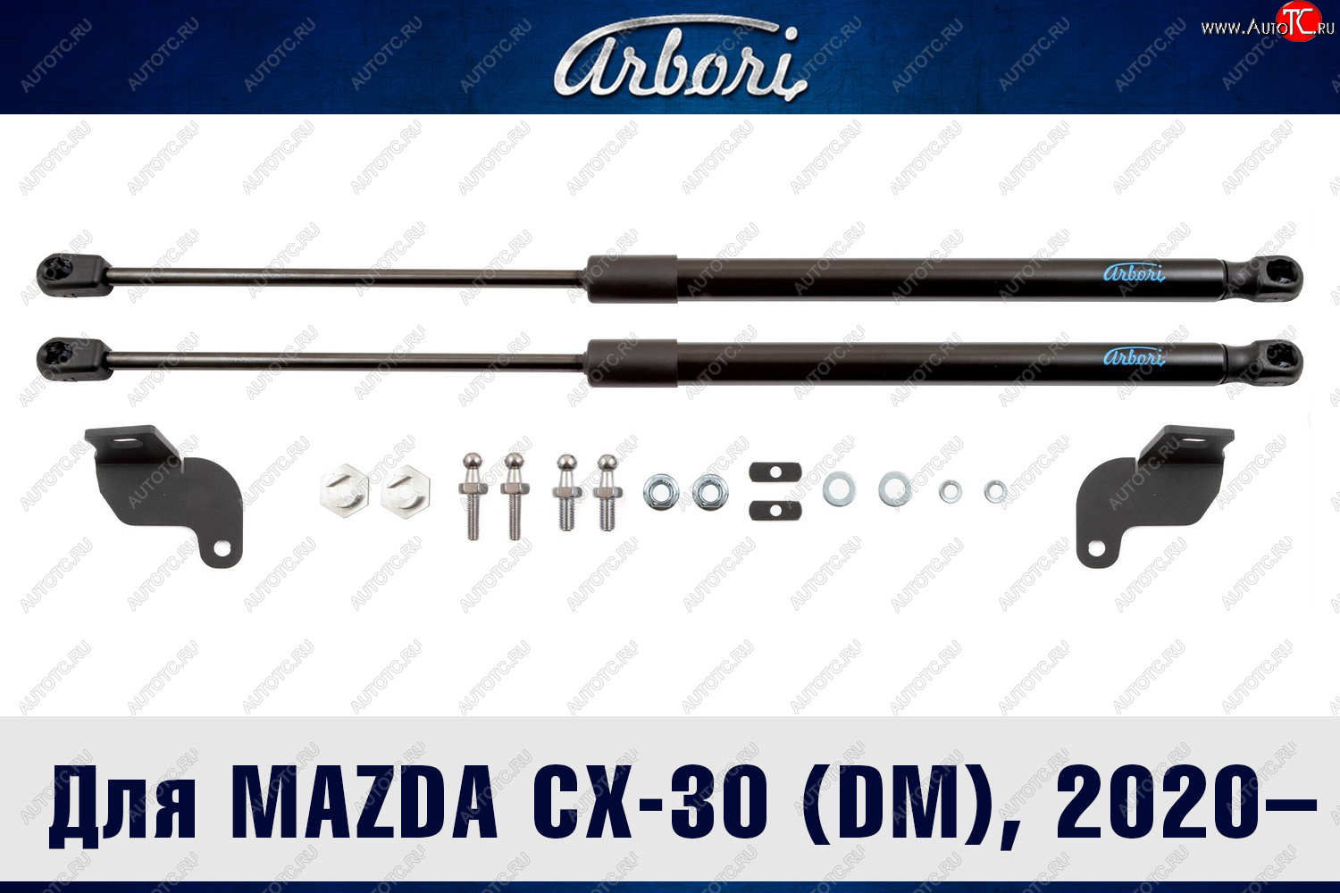 2 599 р. Упоры капота Arbori  Mazda CX-30  DM (2019-2024)  с доставкой в г. Калуга