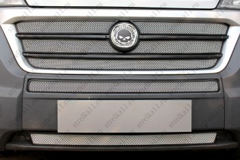 6 499 р. Защитная сетка в бампер (ячейка 3х7 мм, 5 частей) Alfeco Стандарт  Fiat Ducato  290 (2014-2024) (Хром)  с доставкой в г. Калуга. Увеличить фотографию 2