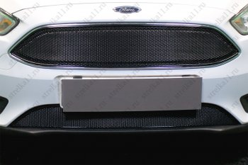3 999 р. Защитная сетка в бампер (ячейка 4х10 мм, нижняя часть) Alfeco Премиум Ford Focus 3 седан рестайлинг (2014-2019) (Чёрная)  с доставкой в г. Калуга. Увеличить фотографию 2
