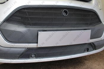 2 969 р. Защитная сетка в бампер (ячейка 3х7 мм, нижняя часть) Alfeco Стандарт  Ford Tourneo Custom (2012-2018) (Чёрная)  с доставкой в г. Калуга. Увеличить фотографию 3
