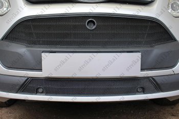 2 969 р. Защитная сетка в бампер (ячейка 3х7 мм, нижняя часть) Alfeco Стандарт Ford Tourneo Custom дорестайлинг (2012-2018) (Чёрная)  с доставкой в г. Калуга. Увеличить фотографию 2