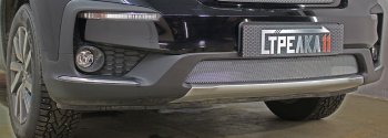 Защитная сетка радиатора в бампер (ячейка 3х7 мм, низ) Стрелка11 Стандарт Honda (Хонда) Pilot (Пилот)  YF6 (2018-2024) YF6 рестайлинг