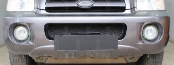 2 969 р. Защитная сетка радиатора в бампер (ячейка 3х7 мм) Стрелка11 Стандарт  Hyundai Santa Fe  1 (2000-2012) (черная)  с доставкой в г. Калуга. Увеличить фотографию 1