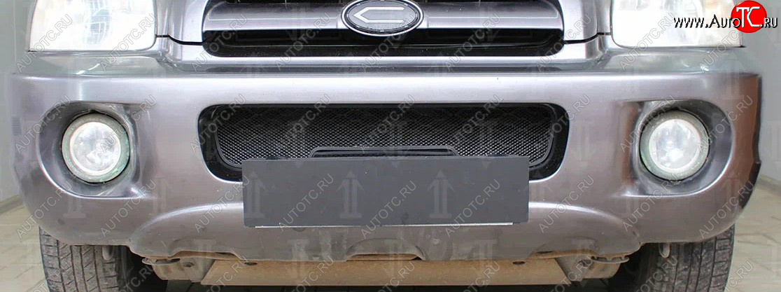 2 969 р. Защитная сетка радиатора в бампер (ячейка 3х7 мм) Стрелка11 Стандарт  Hyundai Santa Fe  1 (2000-2012) (черная)  с доставкой в г. Калуга