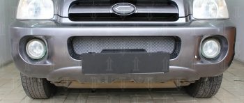 3 099 р. Защитная сетка радиатора в бампер (ячейка 3х7 мм) Стрелка11 Стандарт  Hyundai Santa Fe  1 (2000-2012) (хром)  с доставкой в г. Калуга. Увеличить фотографию 1