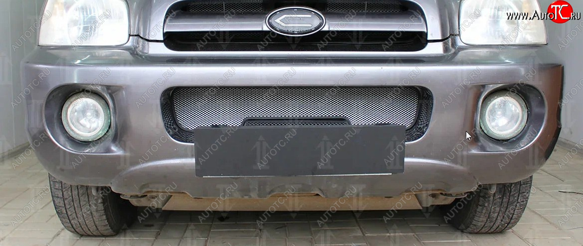 3 099 р. Защитная сетка радиатора в бампер (ячейка 3х7 мм) Стрелка11 Стандарт  Hyundai Santa Fe  1 (2000-2012) (хром)  с доставкой в г. Калуга
