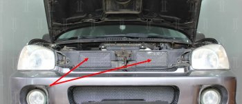 2 969 р. Защитная сетка в решетку радиатора (ячейка 3х7 мм, 2 части) Стрелка11 Стандарт  Hyundai Santa Fe  1 (2000-2012) (хром)  с доставкой в г. Калуга. Увеличить фотографию 1