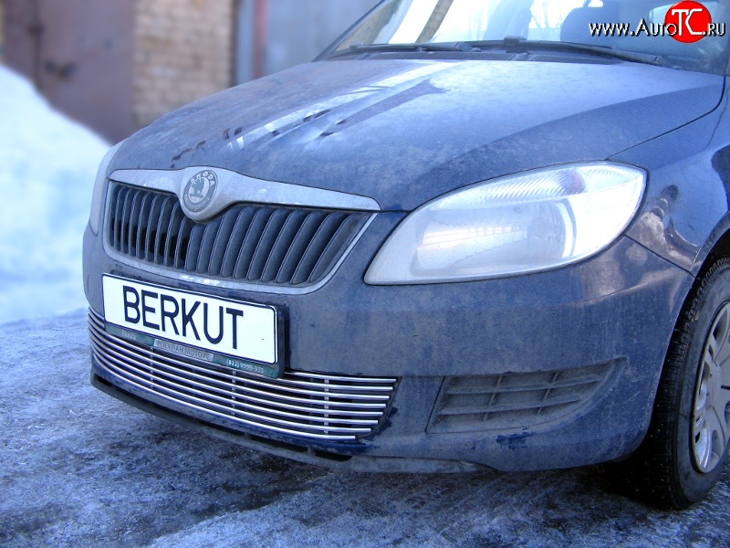 5 899 р. Декоративная вставка воздухозаборника Berkut Skoda Fabia Mk2 универсал дорестайлинг (2007-2010)  с доставкой в г. Калуга