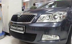 1 469 р. Сетка на бампер Russtal (черная) Skoda Octavia A5 лифтбэк рестайлинг (2008-2013)  с доставкой в г. Калуга. Увеличить фотографию 2