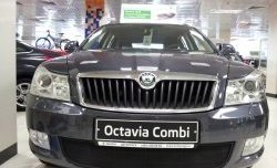 1 469 р. Сетка на бампер Russtal (черная) Skoda Octavia A5 лифтбэк рестайлинг (2008-2013)  с доставкой в г. Калуга. Увеличить фотографию 3