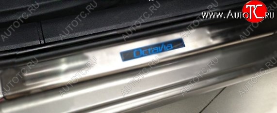 2 599 р. Накладки на порожки автомобиля CT v2 Skoda Octavia A5 дорестайлинг лифтбэк (2004-2008)  с доставкой в г. Калуга