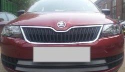 2 399 р. Сетка на бампер Russtal (хром)  Skoda Rapid ( NH3,  NH1) (2012-2017) дорестайлинг лифтбэк, хэтчбэк дорестайлинг  с доставкой в г. Калуга. Увеличить фотографию 1