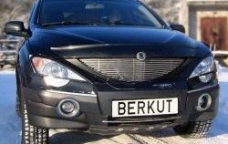 5 999 р. Декоративная вставка решетки радиатора Berkut  SSANGYONG Actyon Sport (2006-2011)  с доставкой в г. Калуга. Увеличить фотографию 1