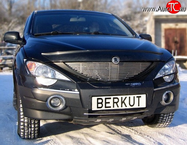 5 999 р. Декоративная вставка решетки радиатора Berkut SSANGYONG Actyon Sport (2006-2011)  с доставкой в г. Калуга