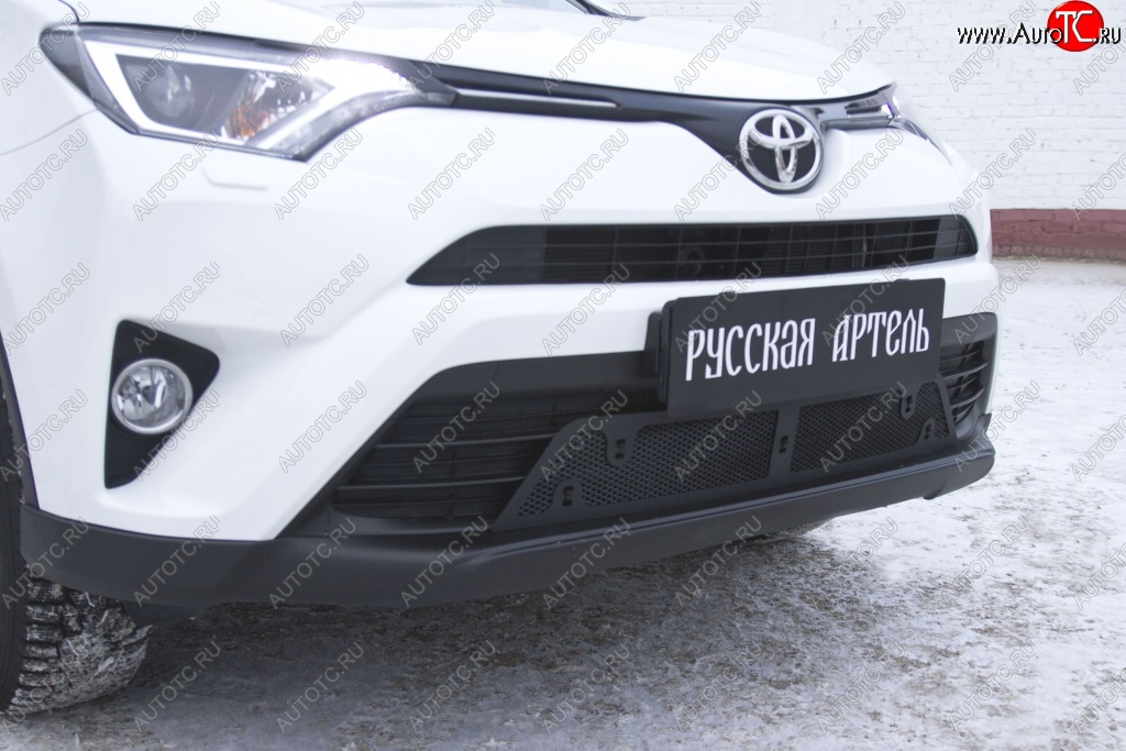 1 939 р. Защитная сетка решетки переднего бампера РА  Toyota RAV4  XA40 (2015-2019)  с доставкой в г. Калуга