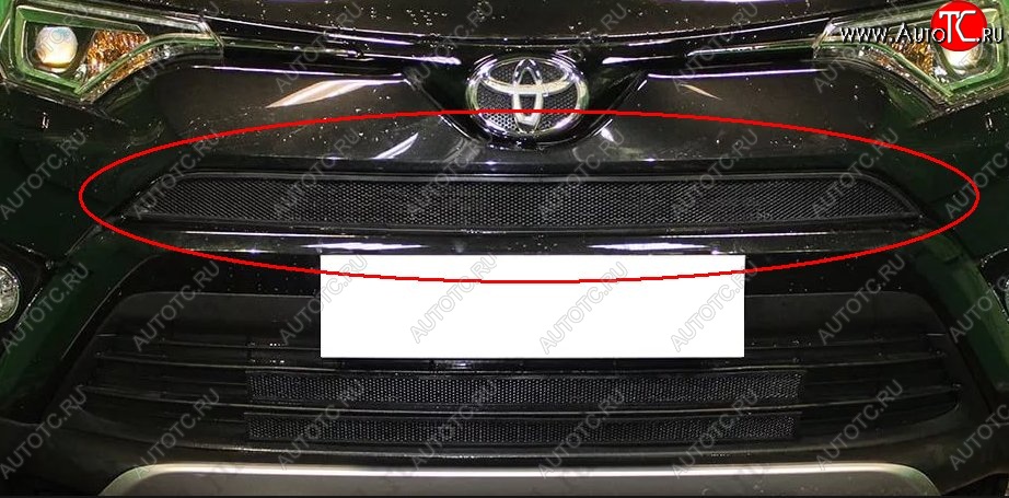 1 469 р. Сетка в решетку радиатора Russtal Toyota RAV4 XA40 5 дв. рестайлинг (2015-2019) (черная)  с доставкой в г. Калуга