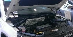 2 199 р. Газовый упор капота Berkut  Volkswagen Tiguan  NF (2006-2011)  с доставкой в г. Калуга. Увеличить фотографию 1